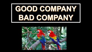 GOOD COMPANY BAD COMPANY STORY storytelling  kids fun moral values [upl. by Ettelra853]