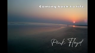 Pink Floyd  The Division Bell  Coming back to life with lyrics [upl. by Eseret]