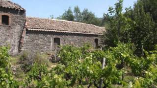 A PUDDARA ETNA DOC Bianco della Tenuta di Fessina  Carricante in purezza [upl. by Kingsly]