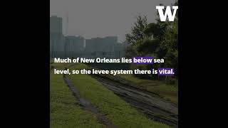 Engineer explains how New Orleans levee system worked against Hurricane Ida [upl. by Telocin]