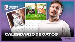 Calendario de Gatos curiosos [upl. by Karim680]