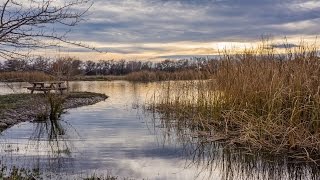 Northern California Duck Hunting Property For Sale  Rough Cut Ranch Butte County California [upl. by Arok351]