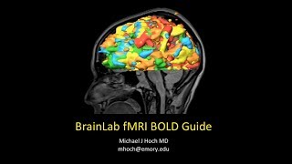 Functional MRI fMRI Brainlab Processing Guide [upl. by Elum]