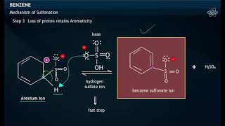 Mechanism for Sulfonation of Benzene [upl. by Verna]