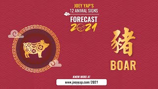 2021 Animal Signs Forecast Boar Joey Yap [upl. by Wons100]