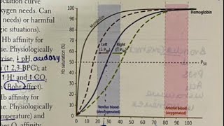 Oxygen dissociation curve made EASY Hindi  neetpg inicet firstaidusmle physiology [upl. by Nagiam291]