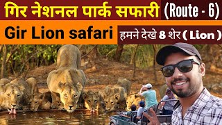 Gir Lion Safari  Gir National Park Route  6 Jungle Safari  Sasan Gir Gujarat  Wildlife safari [upl. by Inad463]