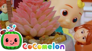 Toy Family Peek a Boo Song  CoComelon Toy Play Learning  Nursery Rhymes amp Kids Songs [upl. by Keyte]