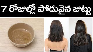 7 రోజుల్లో జుట్టు పొడవు పెరగాలంటే ఇలా చేయండి  How to Get Long Hair  Gold Star Entertainment [upl. by Oinota]