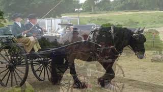 Attelage de Tradition at Glamis Castle 2021 [upl. by Ingham]