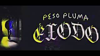 Peso Pluma  Exodo Vida Tumbada Mix p1 [upl. by Rotsen]