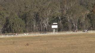 Nanango Races 14092019 Race 6 [upl. by Yttisahc]