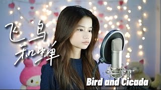 飞鸟和蝉 Fei Niao He Chan   Shania Yan Cover [upl. by Eniac]