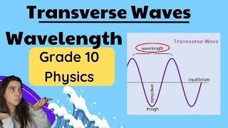 Transverse Waves grade 10 Wavelength [upl. by Kee]