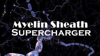 Myelin Sheath Supercharger Morphic Field [upl. by Yerkovich194]