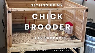 Set up my brooder with me [upl. by Soule]