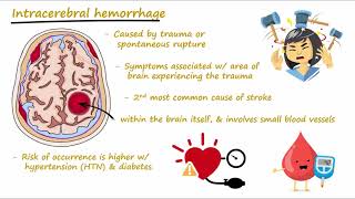 Brain Hemorrhage  Epidural Subdural Subarachnoid Intracerebral  Concisely Described [upl. by Coppins165]