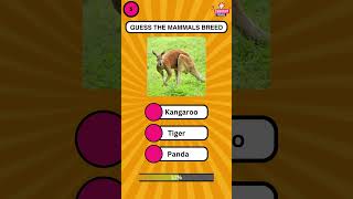 Categorizing Animals by Their Types 🦁🐍🐟  Animal Kingdom Guide Animals AnimalTypes [upl. by Anah]