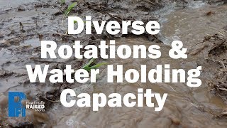 Diverse Rotations and Water Holding Capacity [upl. by Aidnis]