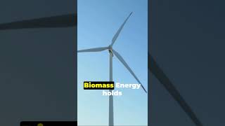 Biomass Energy [upl. by Alayne435]