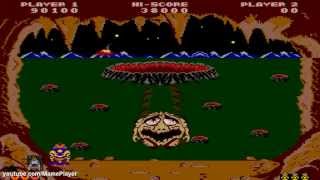 Hole Land 1984 Tecfri Mame Retro Arcade Games [upl. by Arbua]