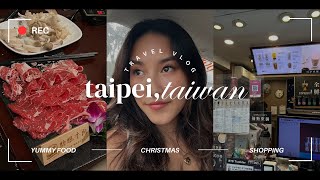 TAIWAN VLOG  exploring taipei during christmas nonstop shopping amp eating [upl. by Patnode]