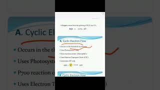 PhotosynthesislLight Reaction 73Cyclic and Non cyclic Photophosphorylation ‎botanysolution4054 [upl. by Lira921]