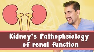 Kidneys Pathophysiology of renal function [upl. by Marcos]