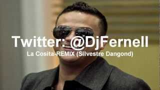 La Cosita RemixSilvestre Dangond RemixDj Fernell [upl. by Terpstra]