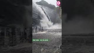 Old Falls Flood  22102024  Flooding  Bathing Banned  Less Crowd  Kutralam Live [upl. by Nawud87]