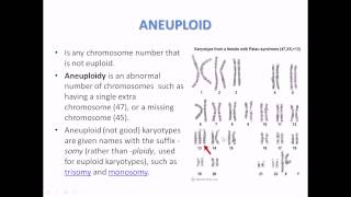 What is aneuploidy [upl. by Jestude]