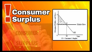 Consumer Surplus  TamilEnglish notes economicstamil consumersurplus economics [upl. by Shamus]