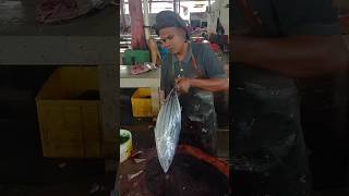 SKILL SKIPJACK TUNA shortsfishcutting amazing [upl. by Peirce]