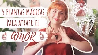 Atrae el AMOR con estas 5 PLANTAS MÁGICAS [upl. by Dragon]