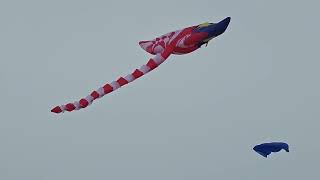 BORNEO INTERNATIONAL KITE FESTIVAL 2024 [upl. by Poore669]