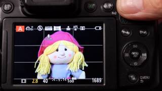 AE and AF lock AFF AFS and AFC focus styles on Panasonic Lumix Cameras Explained [upl. by Swift]