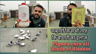 कबुतरो कि सभी तरह कि बीमारी का इलाज । PIGEON CURE OF ALL KINDS OF DISEASE  ENROFLOXACIN  CADIPLEX [upl. by Aidroc]