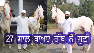 27 ਸਾਲ ਬਾਅਦ ਰੱਬ ਨੇ ਸੁਣੀ Spotless Nukra Colt Fateh at Taj stud farm  Horse Farm Punjab [upl. by Ardnassac]