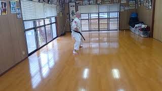 Pinan Sandan at Ishida Kenshin Hanshis Dojo [upl. by Divod]