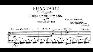 Schumann Fantasie in C Op17 Andsnes [upl. by Semreh]