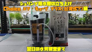 シュリンプ用水槽 立ち上げ Choice エフ・キューブ プラス台湾式？編 翌日の水質検査まで [upl. by Eelatsyrc]