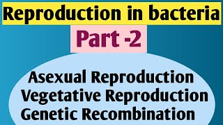 Reproduction in bacteria Part 2 [upl. by Okier]