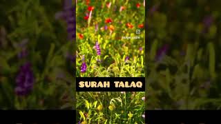 Surah Talaq  65  verse  2 [upl. by Lorain]