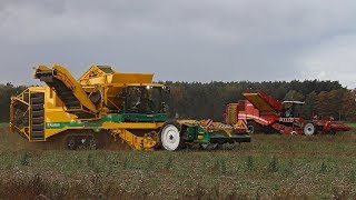 Ploeger AR4BX vs Grimme Varitron 470 Platinum  Potato harvest 2018  Deddens [upl. by Saxe]