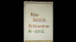 Bsc 2nd year zoology practical file zoology video shortvideo [upl. by Lupiv738]