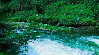 Peaceful Water Flow Relaxing Mountain Stream for Sleeping [upl. by Ecnatsnoc683]