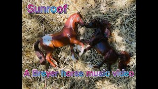 Breyer horses  sunroof music video  2022 [upl. by Florentia]