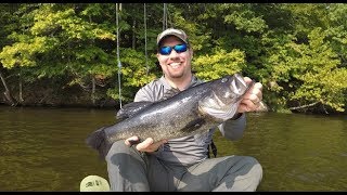 Dissecting cover for largemouth on High Point Lake [upl. by Adlig]