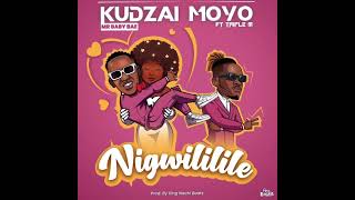 Kudzai Moyo Mr Baby Bae NIGWILILILE ft Triple M Official Visualiser [upl. by Mossolb960]