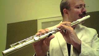 Bach  Suite for Violoncello Prélude played on Flute with Circular Breathing [upl. by Goldi863]